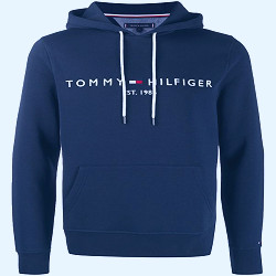 Tommy Hilfiger Embroidered Logo Hoodie - Farfetch